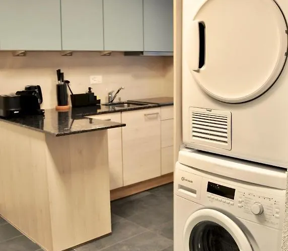 Modern Family In Center Διαμέρισμα Ιντερλάκεν